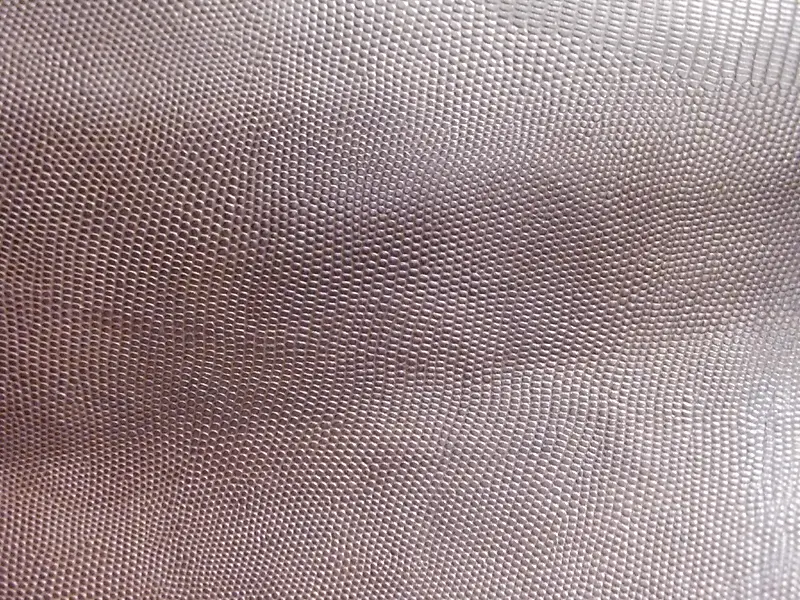 Ƥ�ﱳ��-������