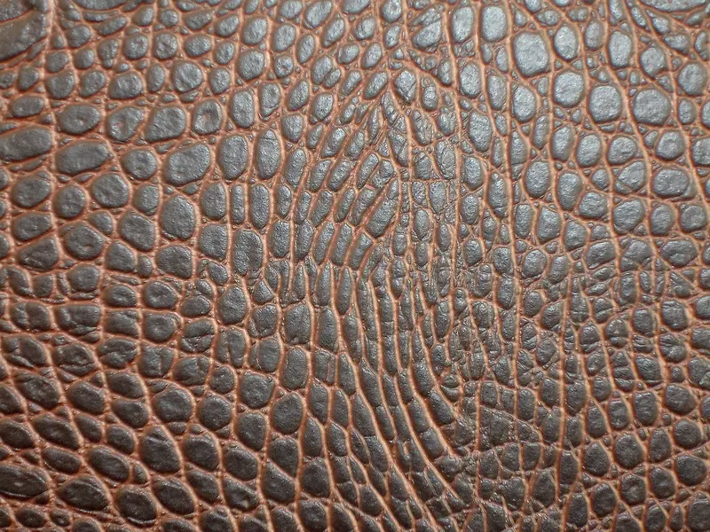 ��Ƥ��������-������