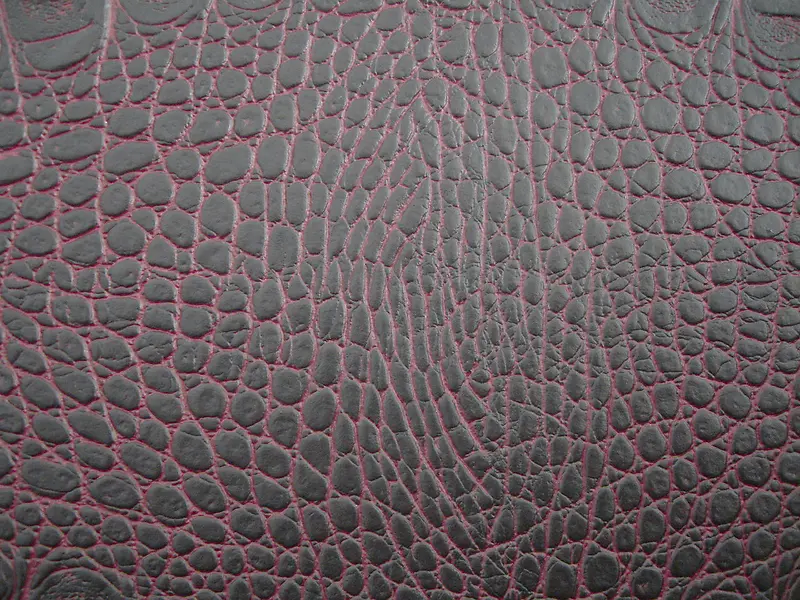 Ƥ�ﱳ������-������