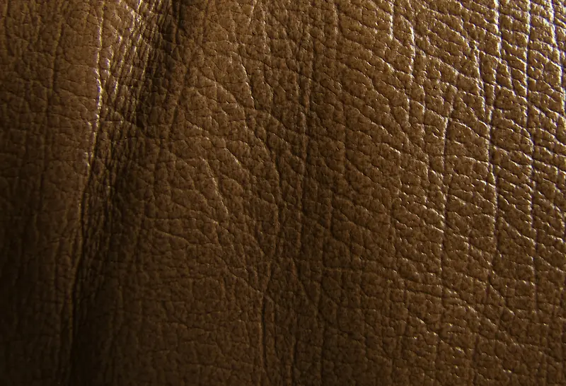 ��Ƥ��������-������