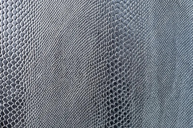 Ƥ�ﱳ������-������