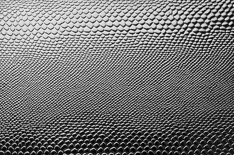 Ƥ����ʱ���-������