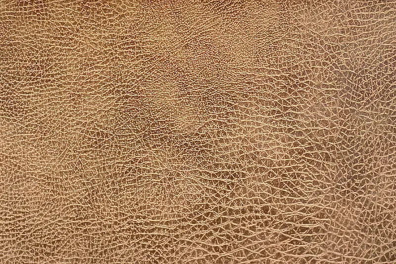 Ƥ����ʱ���-������