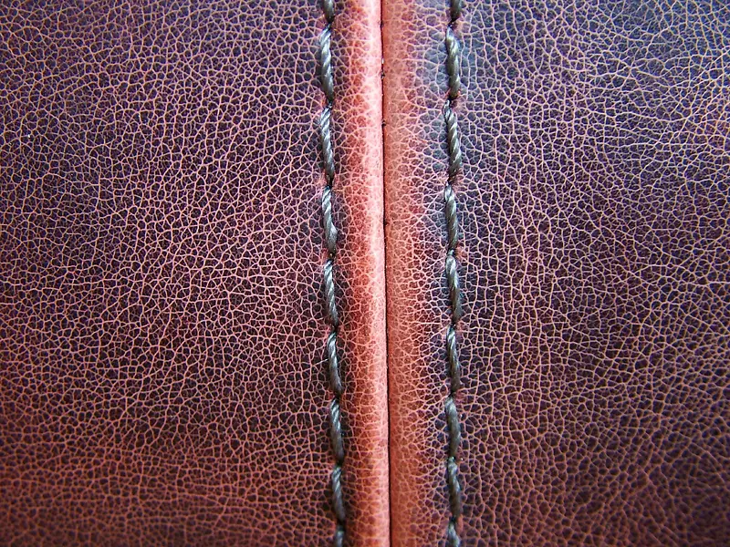 Ƥ����������-������