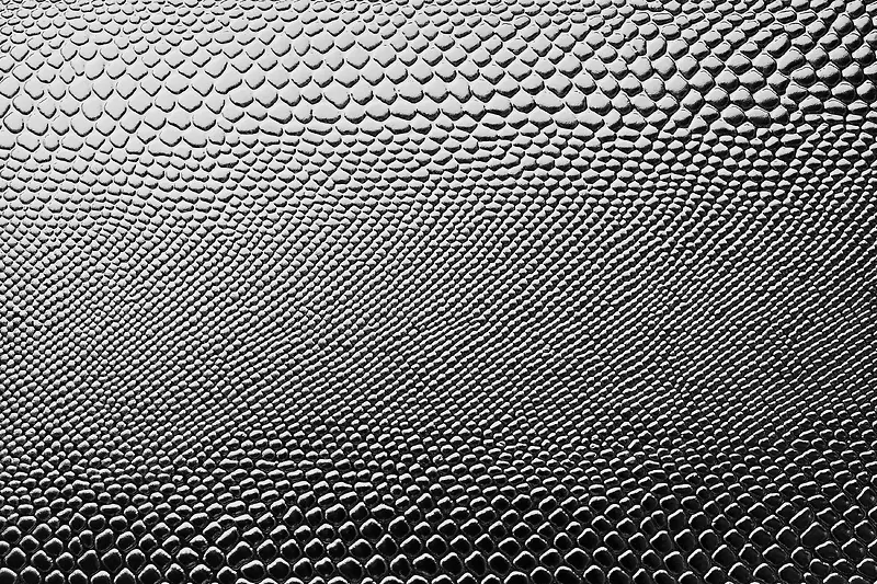 Ƥ����������-������