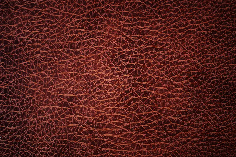 Ƥ����ʱ���-������