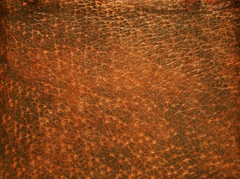 ��Ƥ��������-������