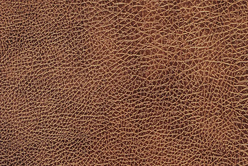 Ƥ����������-������