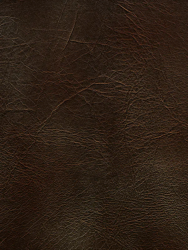 Ƥ����������ͼ-������