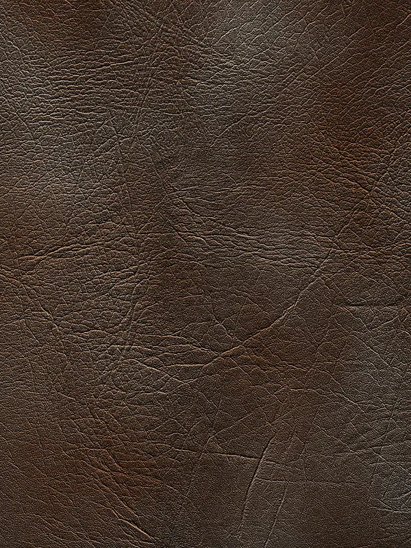 ��Ƥ��������-������