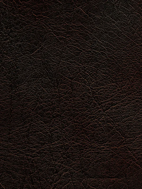 Ƥ����������ͼ-������