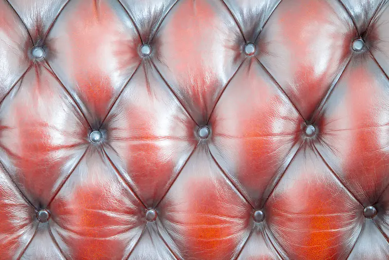 Ƥ����ʱ���-������