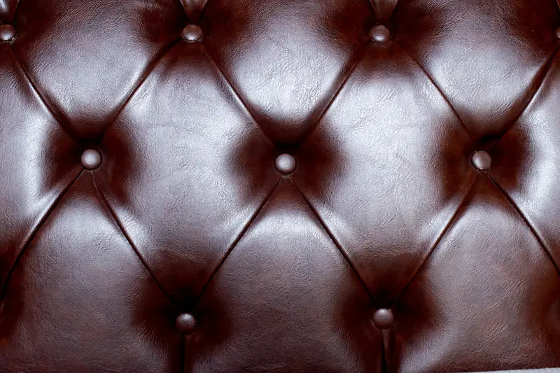 ��Ƥ��������-������