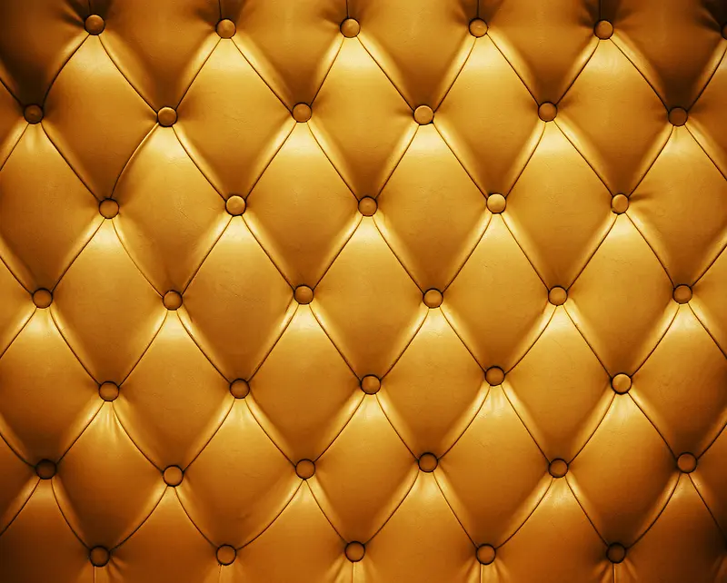 ��ɫƤ�ﱳ��-������