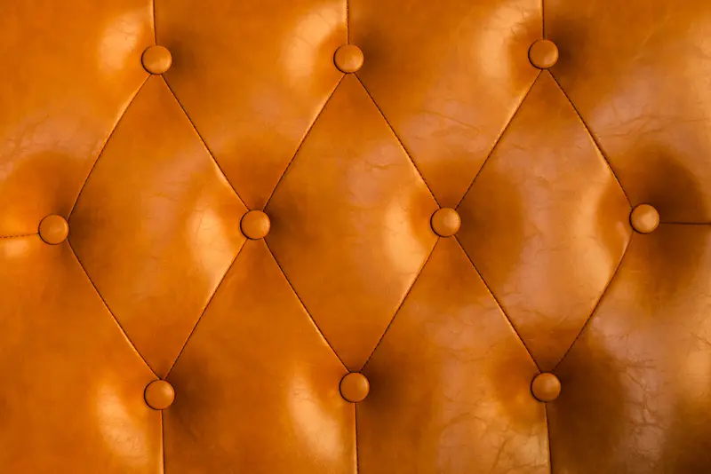 Ƥ����������-������