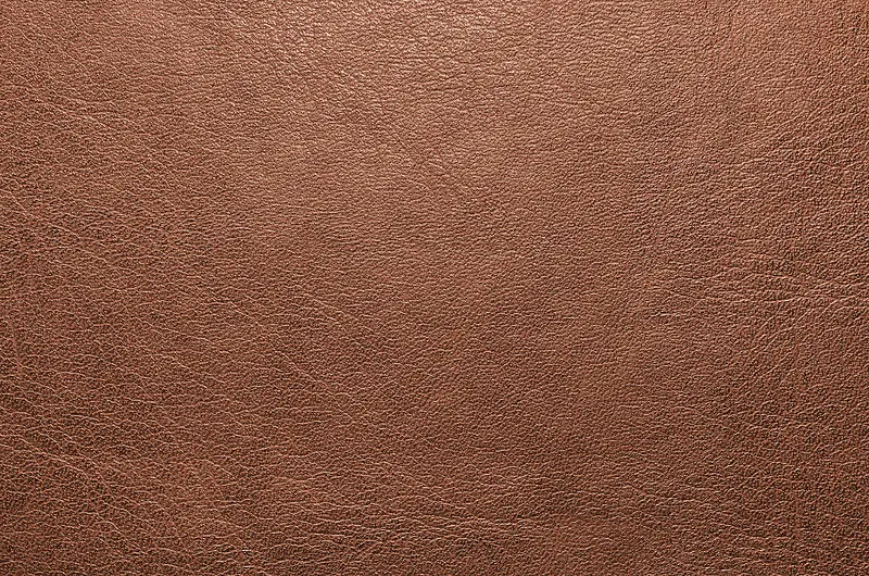 ��ɫƤ�ﱳ��-������