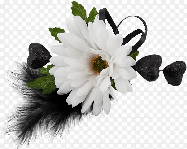 ��ɫɽ�軨-������