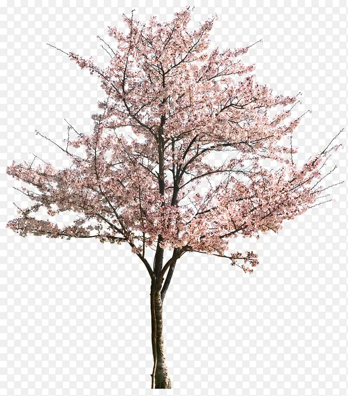 ����-������