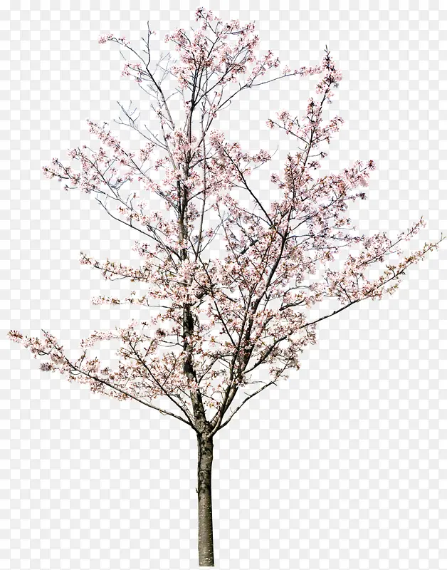 ����-������