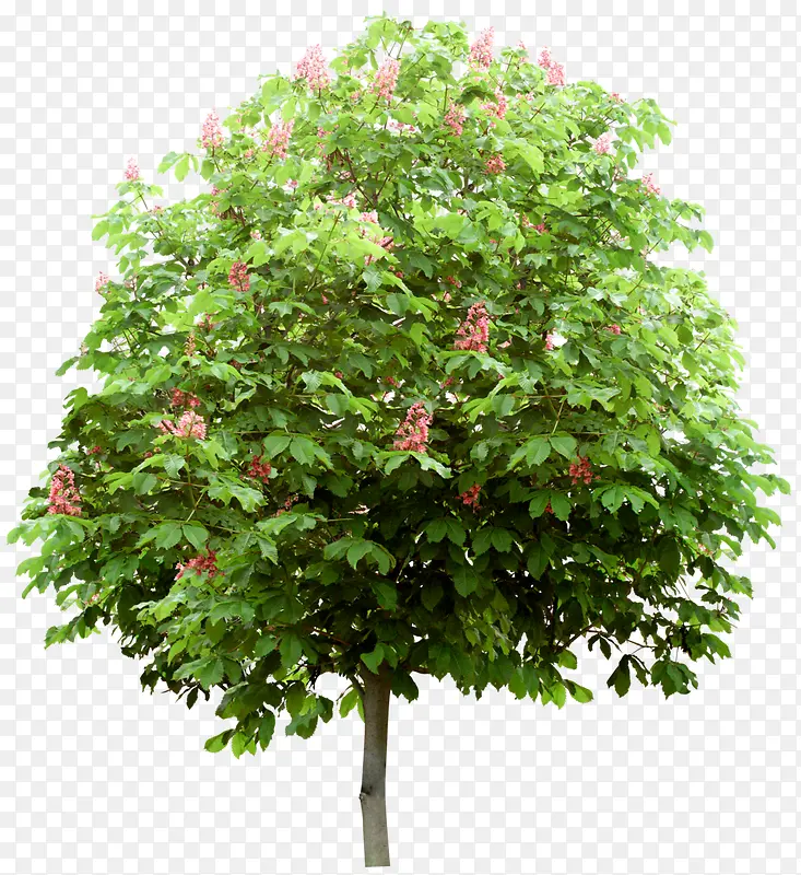 ����-������