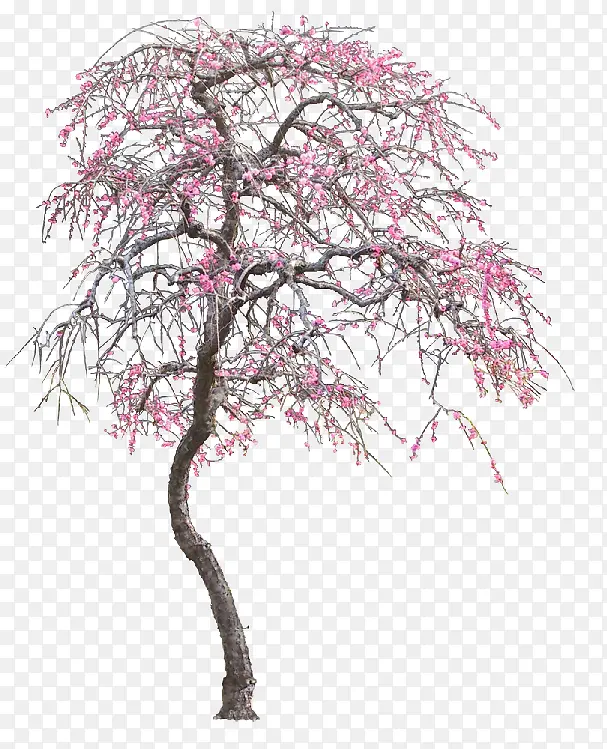 ����-������