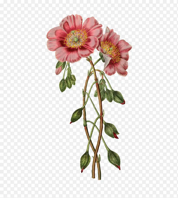 �ֻ滨֦װ���ز�-������