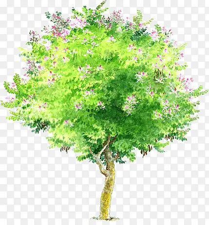 �ֻ���ɫ�������-������