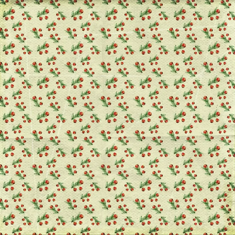 ʥ���ڱ���-������