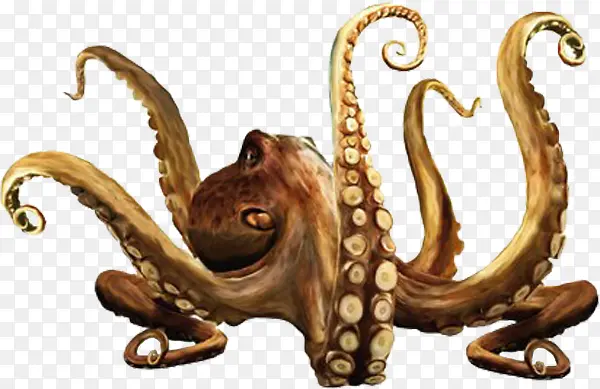 ���׶���-������