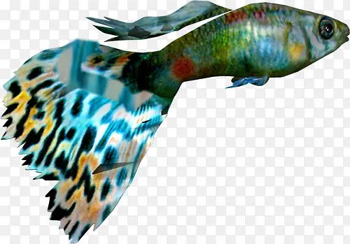 ���׶���-������