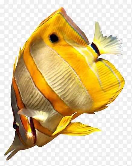 ���׶���-������