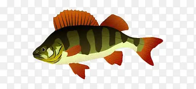 ��ͨ�ֻ�ī��������-������