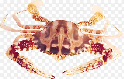 ���׶���-������