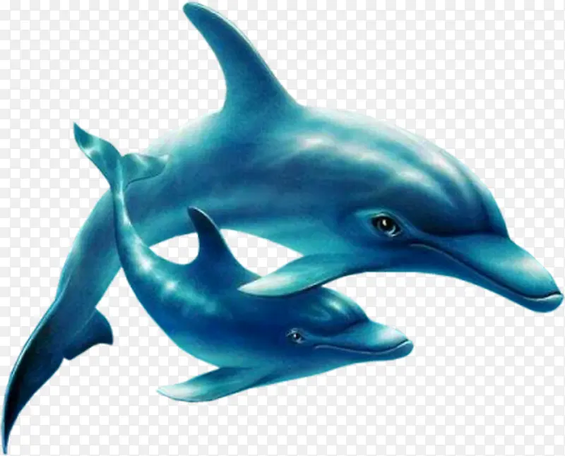 ���׶���-������