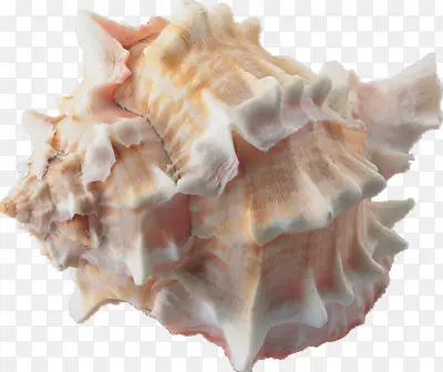 ���׶���-������