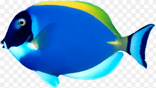 ���׶���-������