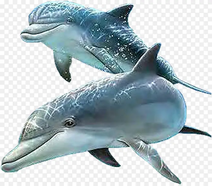 ���׶���-������