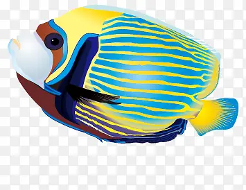 ��ɫ����-������