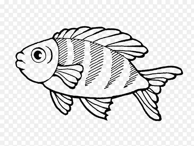 ��ͨ������-������