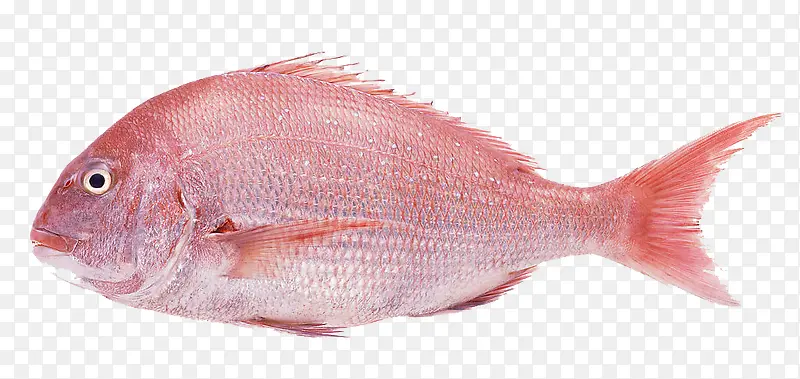 ������-������