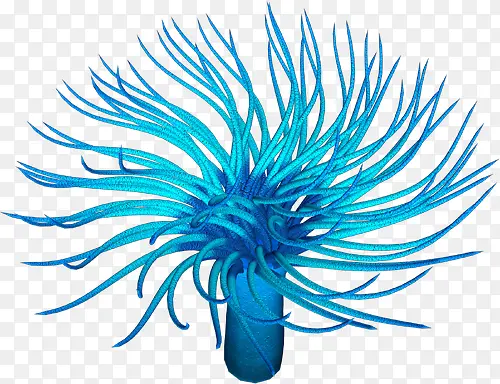 ���׶���-������