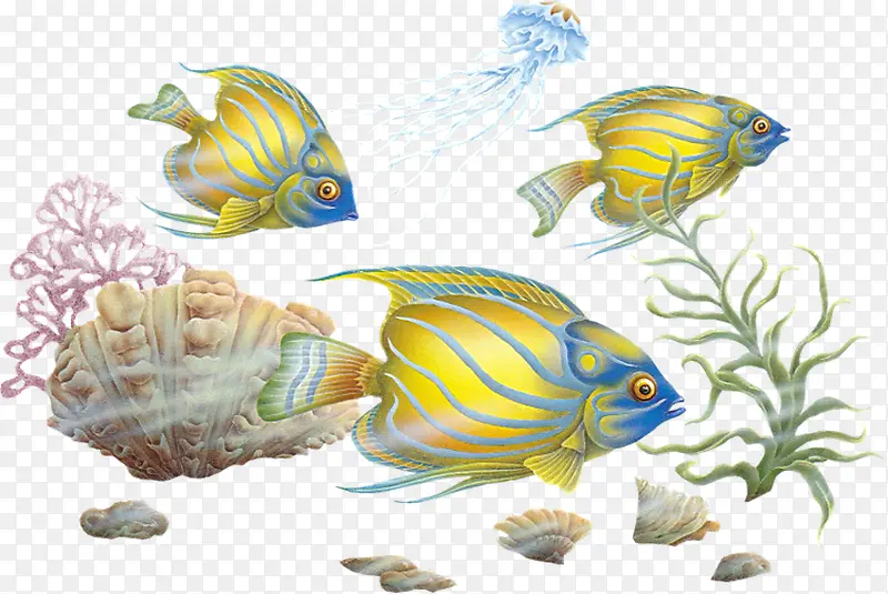 ���׶���-������