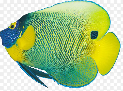 ���׶���-������