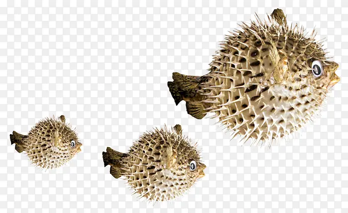 ���׶���-������