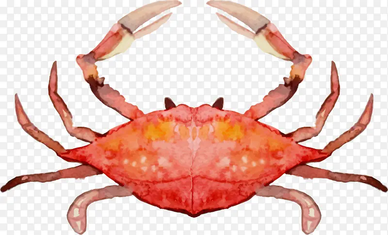 �ֻ溣�������з-������