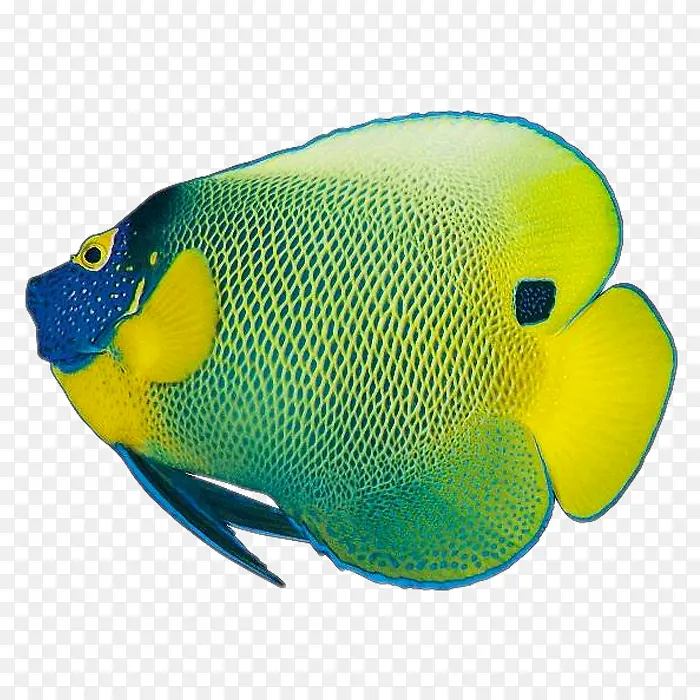 ��ɫ�ȴ���-������