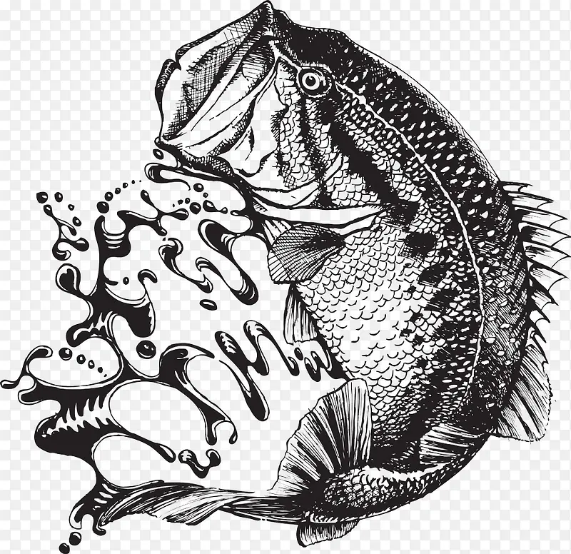 �Ұ׿�ͨ��-������