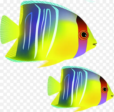 ��Ʋ廭���󺣵���-������