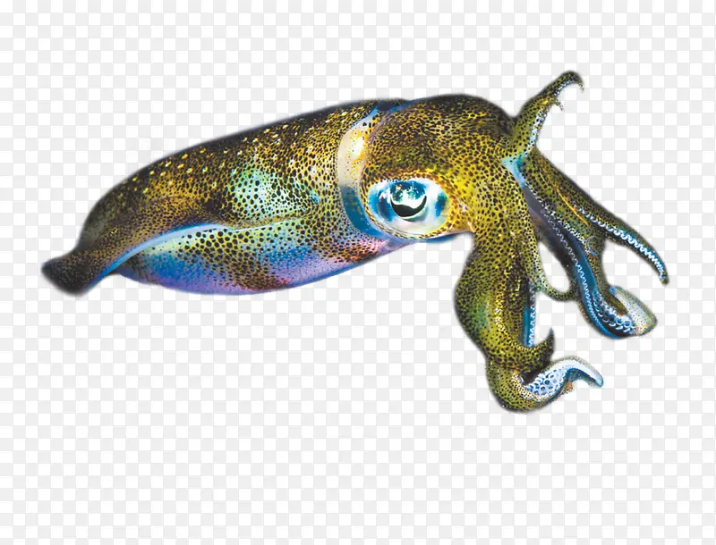 ����-������