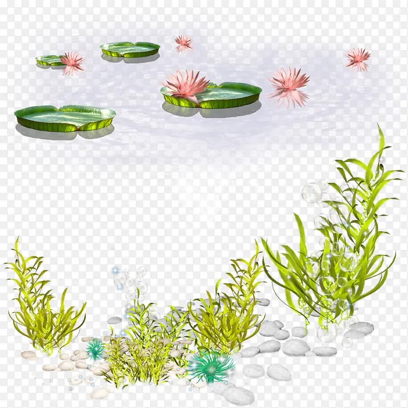 ����-������